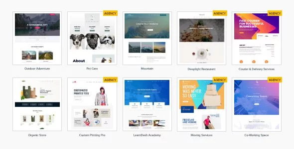 Astra Premium Starter Templates