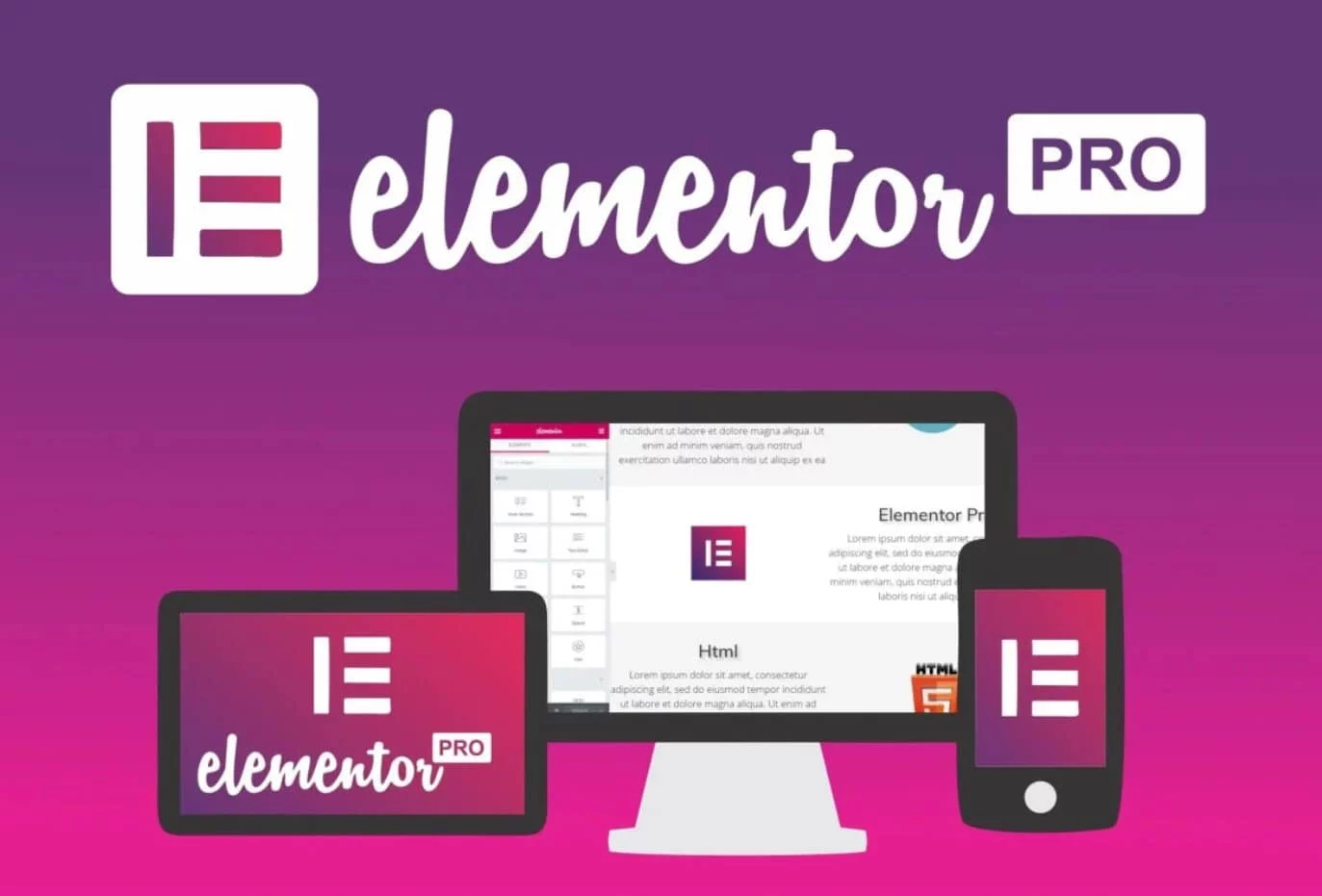 Elementor PRO Elementor PRO