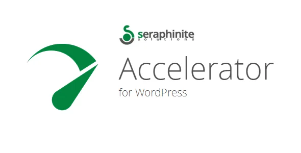 Seraphinite Accelerator Extended